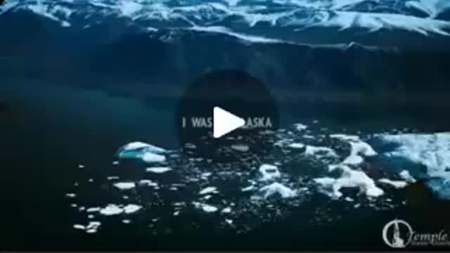 Listen to the VOICE!! TRUST the VOICE!!