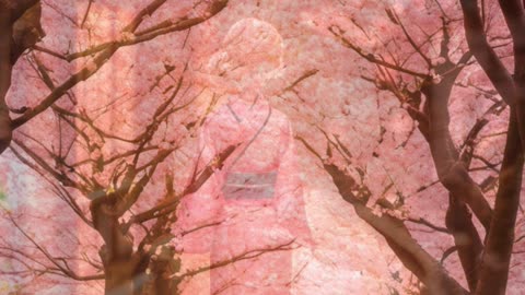 Barbie's Cherry Blossom Adventure in Kyoto