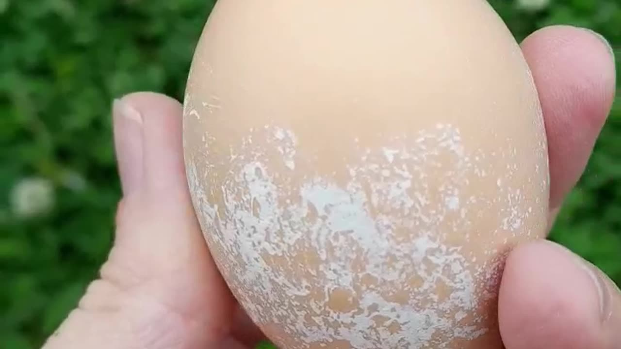 This Egg Looks Painted!