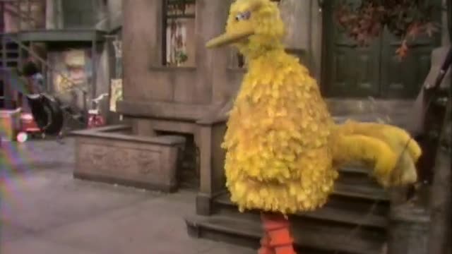 Big Bird