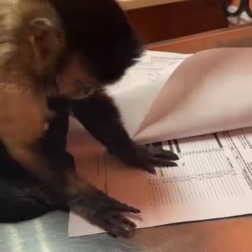 Dr. Gaitlyn Rae if you missed yesterdays video go check out the update on my sister!