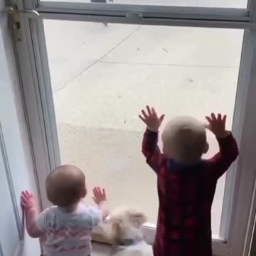 Welcome home big brother