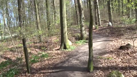 På cykeltur utanför Helsingborg 2 Maj 2017