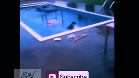Best funny fail compilation