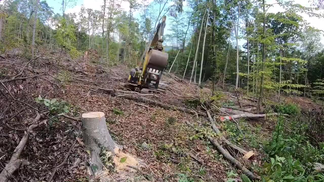 Yanmar vio80 and Stihl 201t cleaning up brush