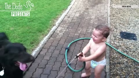 Babies Laughing At Pets | The Dodo