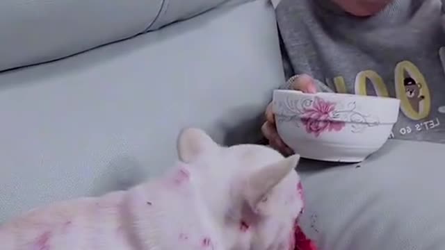 Funny video 😁😁