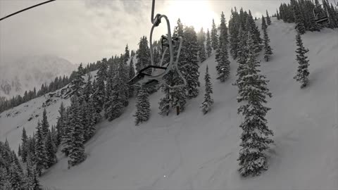 Ollie Abasin frisbee dog at open some pow for snowboarding