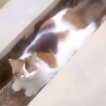 Idu gaṭāravannu muccihōguvante māḍuttade endu adu tiruguttade