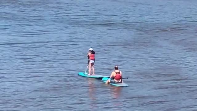 Two people on paddle boards lake