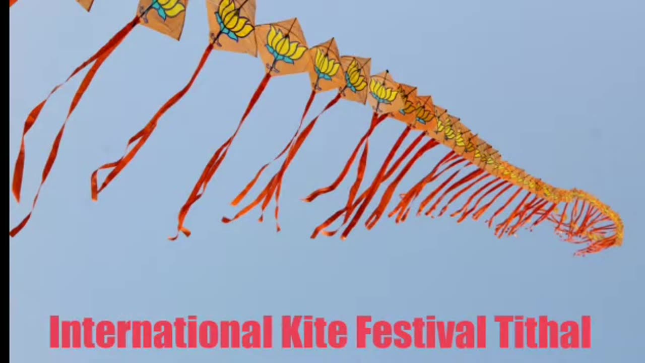 Kite Festival india