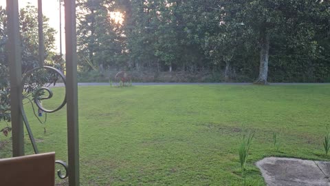 GSG Porch Report 010623