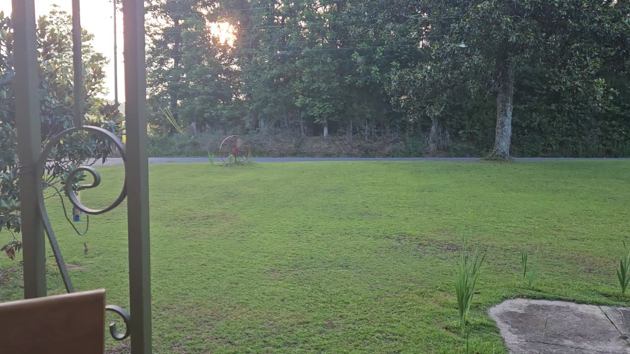 GSG Porch Report 010623