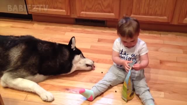 CUTE BABIES PLAYING WITH DOGS AND CATS