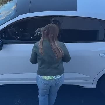 funny|prank|jokes|funny jokes|dad jokes|funny memes|funny video|fun|laughing|funny animal|knock