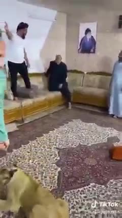 The lion is in the house