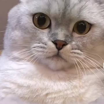 Spa time 🧖‍♀️🛀💆‍♂️