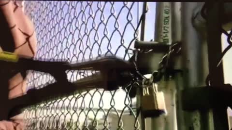 Symbolism = Downfall: Dexter Episode shows Evergreen Cargo Container with children inside