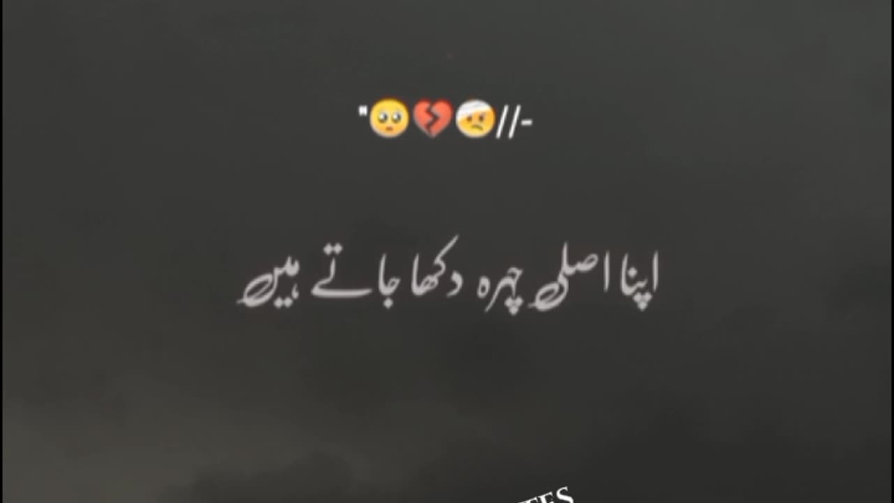 ❤️❤️❤️❤️