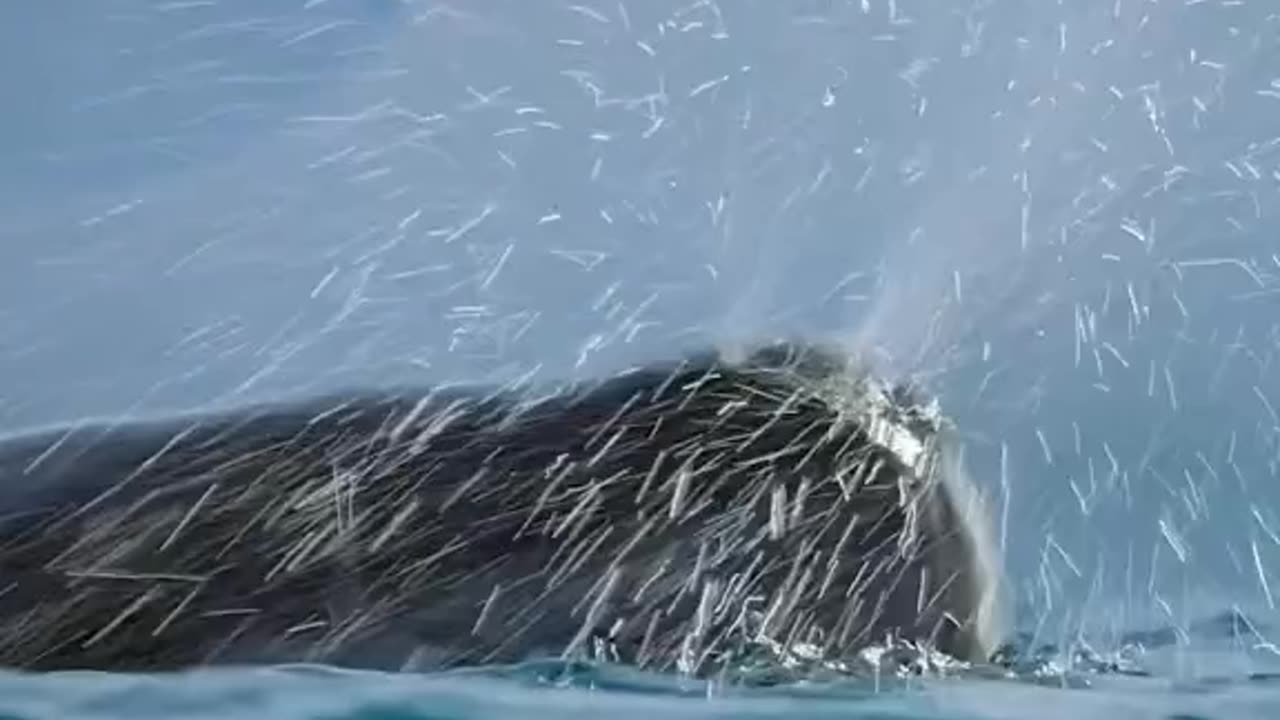Nature Creature