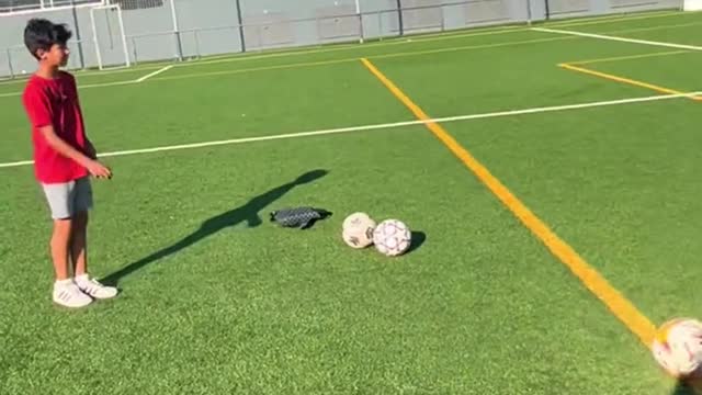 Crossbar soccer football paellero