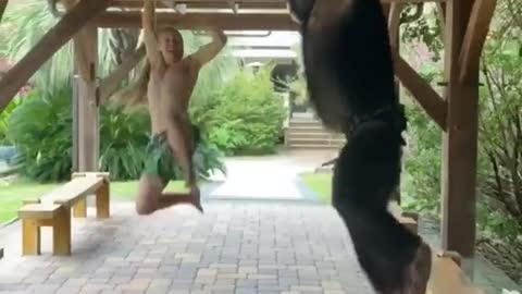 Best friends for life play 🥰