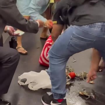 Ladies Spills Bag of Crabs on Train 😋😂😂😂😂😂