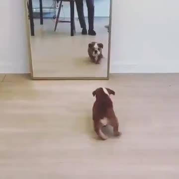 Was it his first time to see himself in the mirror?