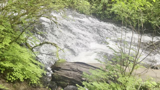 Latourell Falls Creek – Columbia River Gorge National Scenic Area – Oregon – 4K