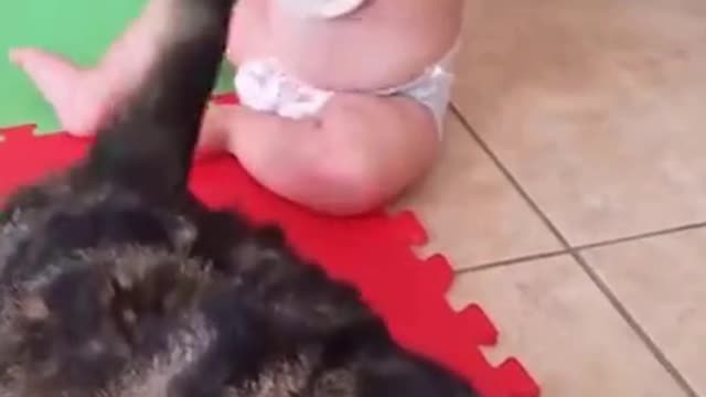 Baby playing with cat tail funny moment of cat and baby