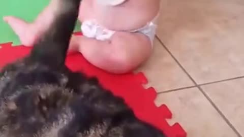 Baby playing with cat tail funny moment of cat and baby