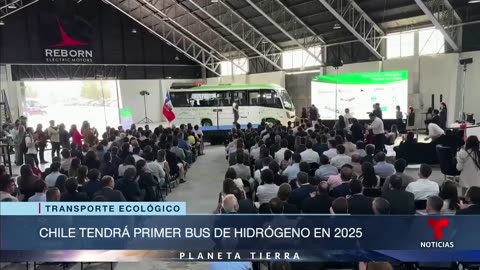 Planeta Tierra: Intentan salvar a las aves afectadas por un derrame de petróleo en costas de Rusia