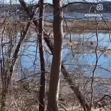 PEACEFUL MORNING WALK