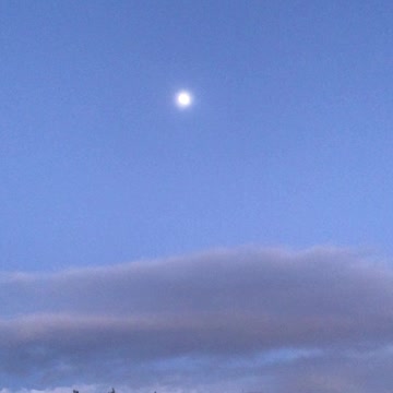 Moonshine 😍moonlight