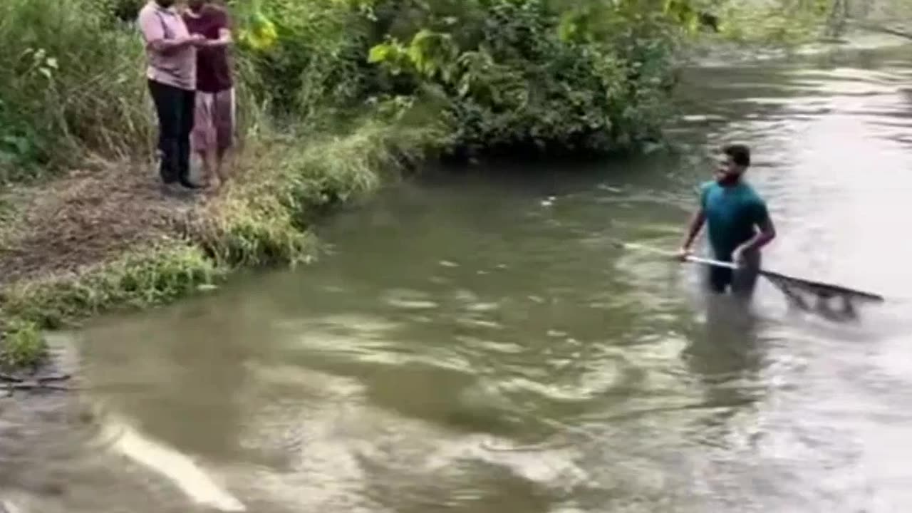 Migrants illegally poaching Salmon in Ontario, Canada