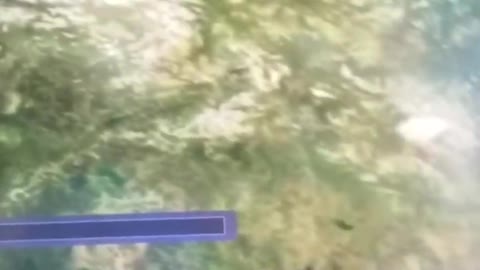 How many miles to go?