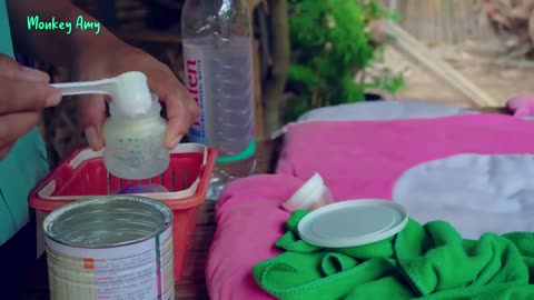 Oh! Newborn monkey, drinking milk with big milk bottle