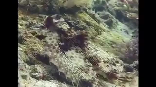 Time with God - December 19