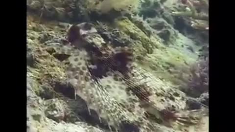 Time with God - December 19