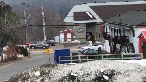 Family Wishes Grandmother a Happy Birthday from Cars During Covid 19