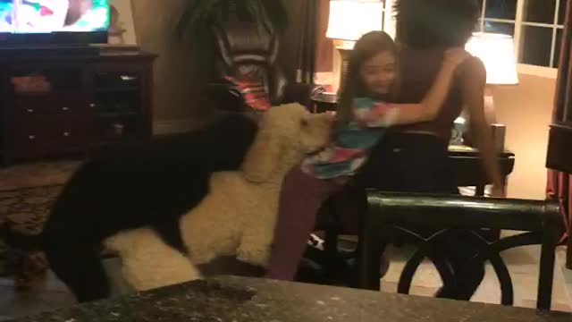 Dog wants to learn acrobatics too!