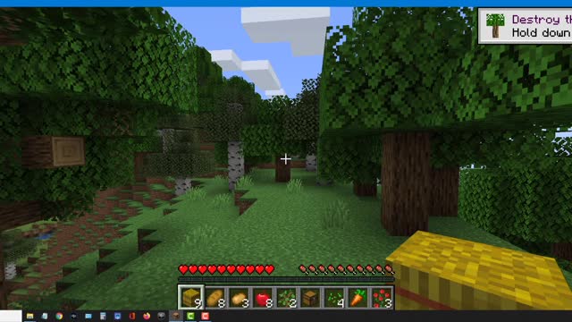 Minecraft vanilla skin version 1.17.1_ Shorts_2nd_Outting_3