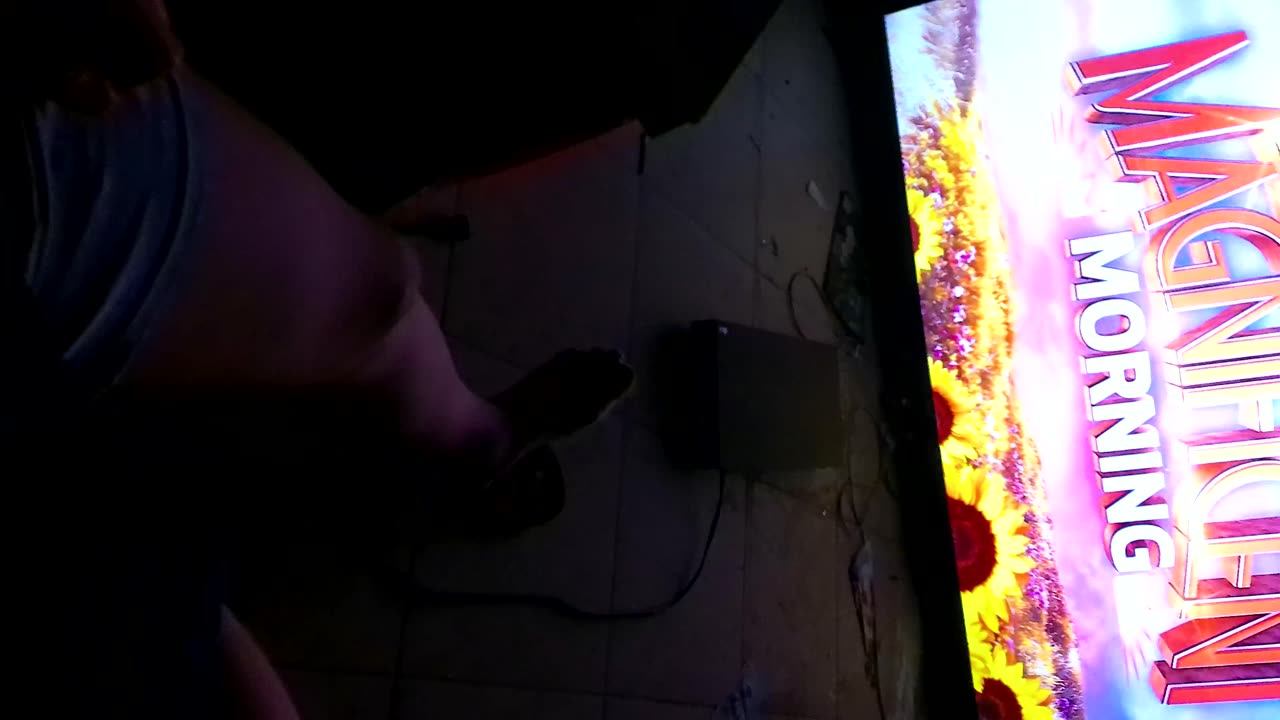 ANMR0238