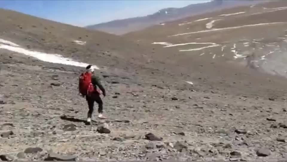 Chasing the antelope at this speed