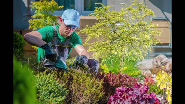 Flora Tree Service - (202) 492-2798