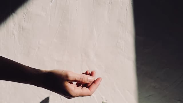 a-person-touches-a-flower-in-a-glass