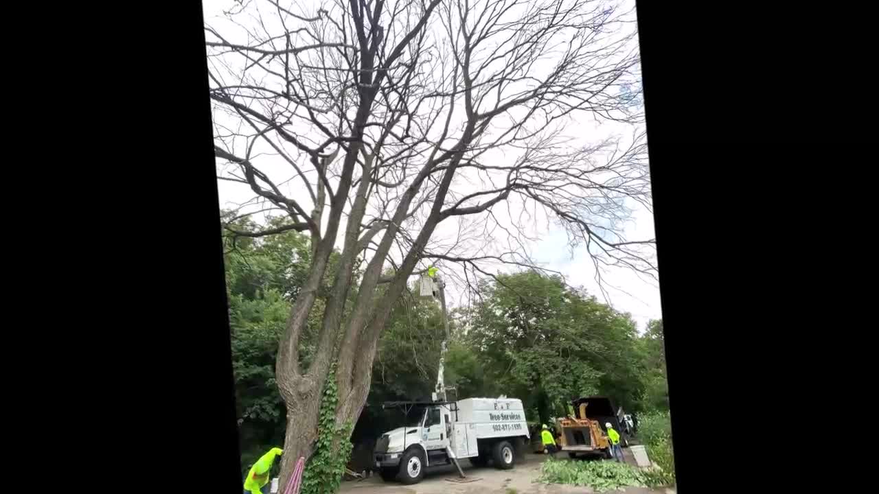 F & F Tree And Landscaping Service LLC - (712) 216-7603