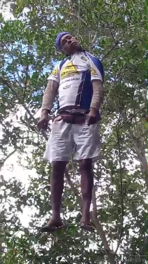 Short Video Shows A Tree Friend In Sergipe, Brazil.mp4