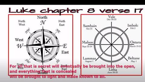 Westminster Floor Show