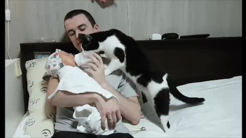 This Kid Loves His Cat Part 4